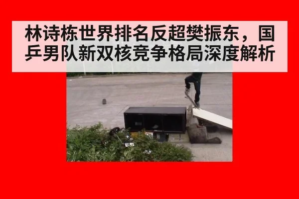 林诗栋世界排名反超樊振东,国乒男队新双核竞争格局深度解析
