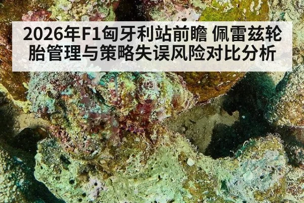 2026年F1匈牙利站前瞻 佩雷兹轮胎管理与策略失误风险对比分析